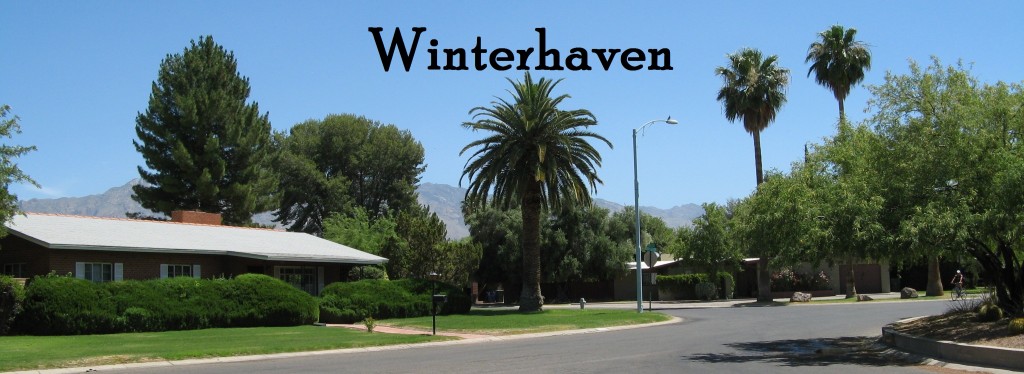Winterhaven homes for sale