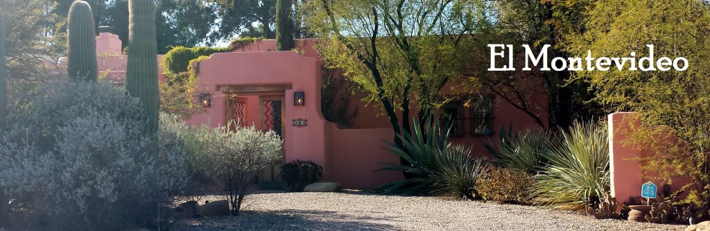 Homes for sale in Historic El Montevideo neighborhood in Tucson