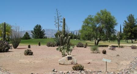 Rolling Hills Golf Course Tucson, Arizona