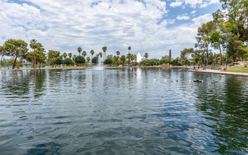 Pond at Reid Park, Tucson Arizona