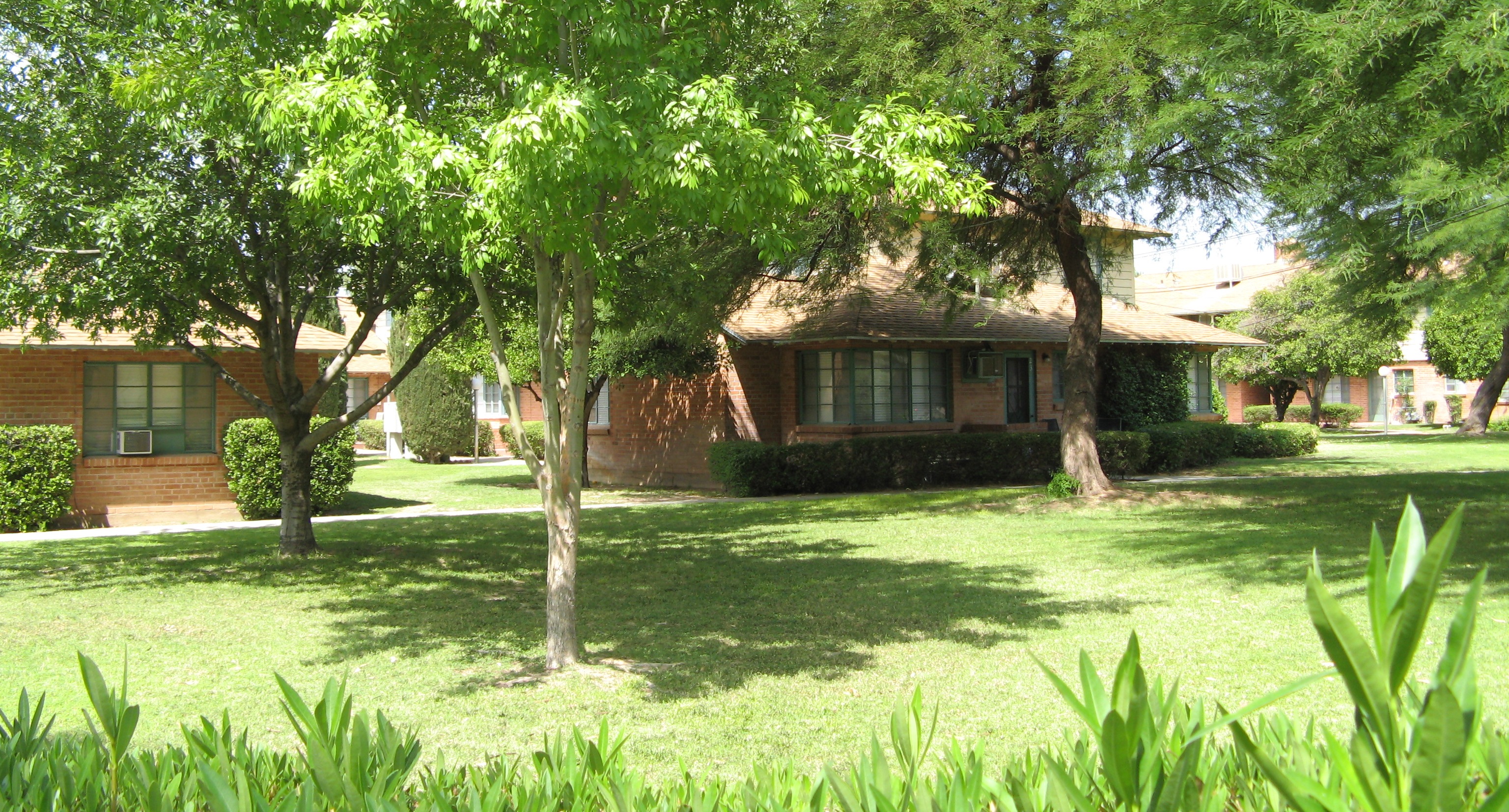 Randolph House is a townhome community just east of Reid Park in Tucson.