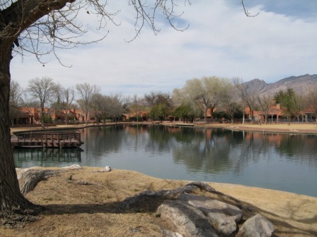 A beautiful Tucson winter day at the lake in the Hill Farm neighborhood