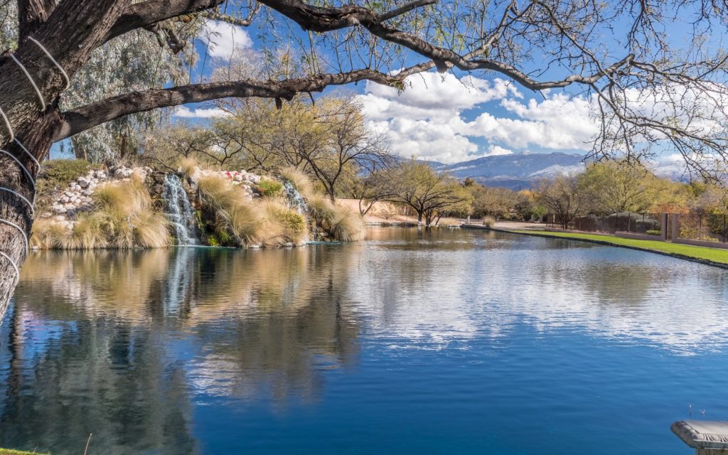 The Lakes at Castle Rock Gated Community on Tucson's NE Side