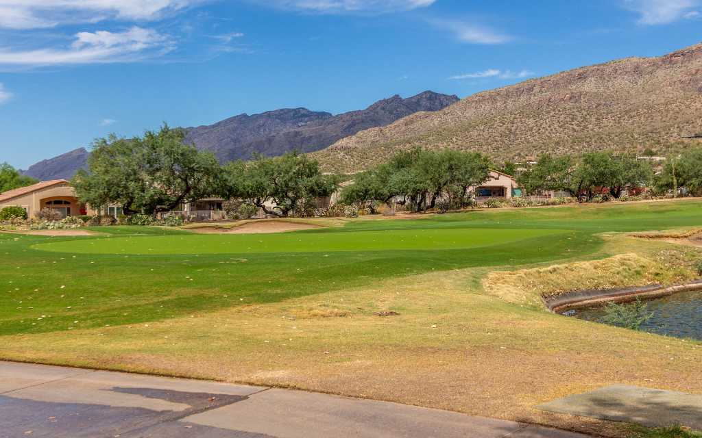 Sabino Springs homes backing the Arizona National golf course.