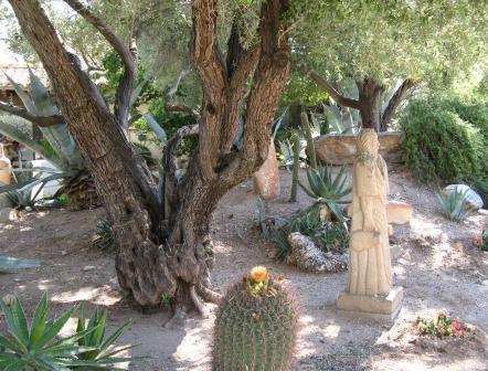 Gardens at the Catalina Foothills Condominiums feature lush gardens designed by Taro Akutagawa.