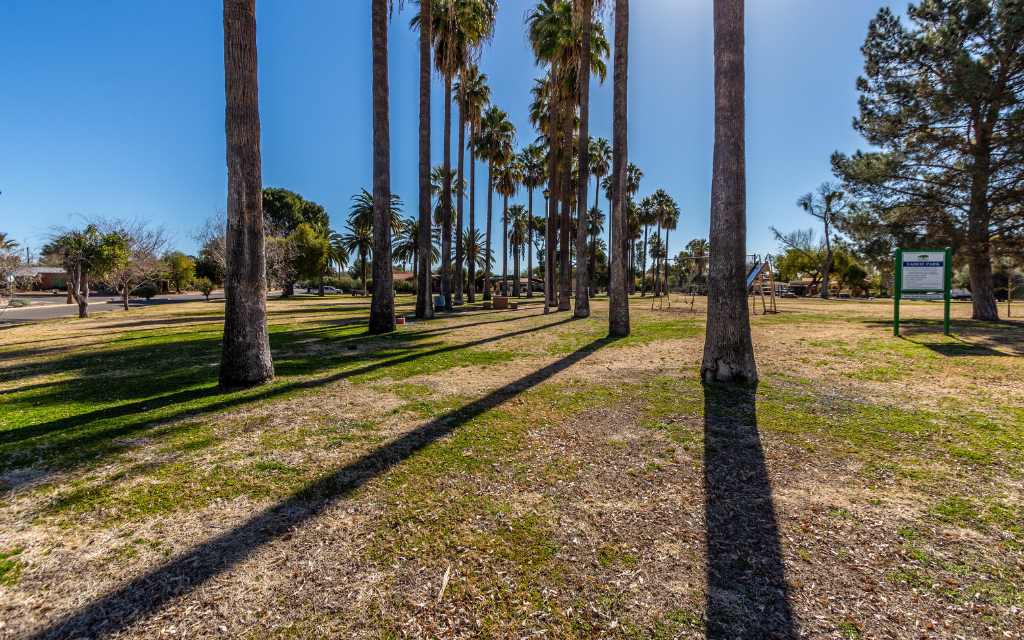 Tahoe Park is a neighborhood park with a playground, picnic tables, and towering palm trees.