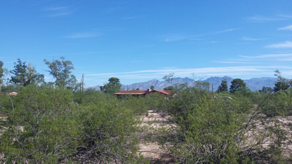 A home with a mountain view in Aldea Linda neighborhood, viewed through the native Creosote shrubs.