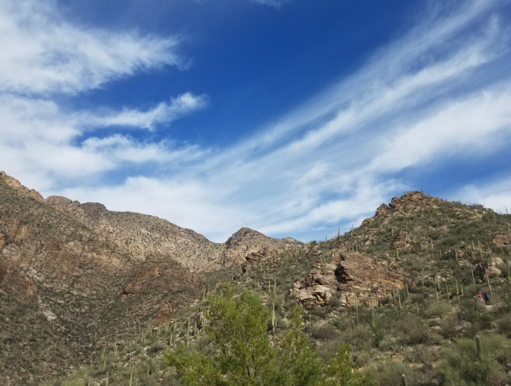 View at Sabino Canyon