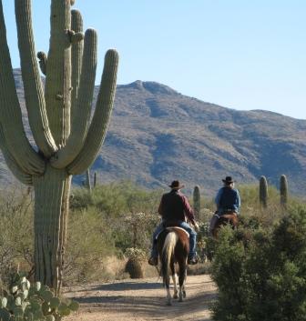 Riding in the Rincon Mountains in Tucson