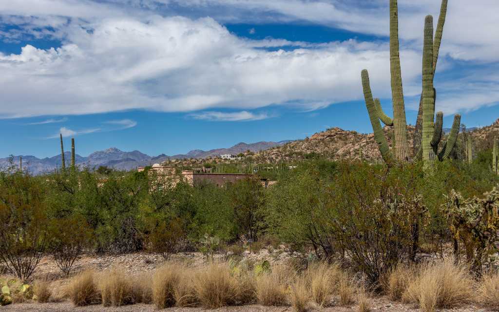 Mountain views, rock outcroppings, and native Sonoran Desert flora abounds in La Cebadilla Estates