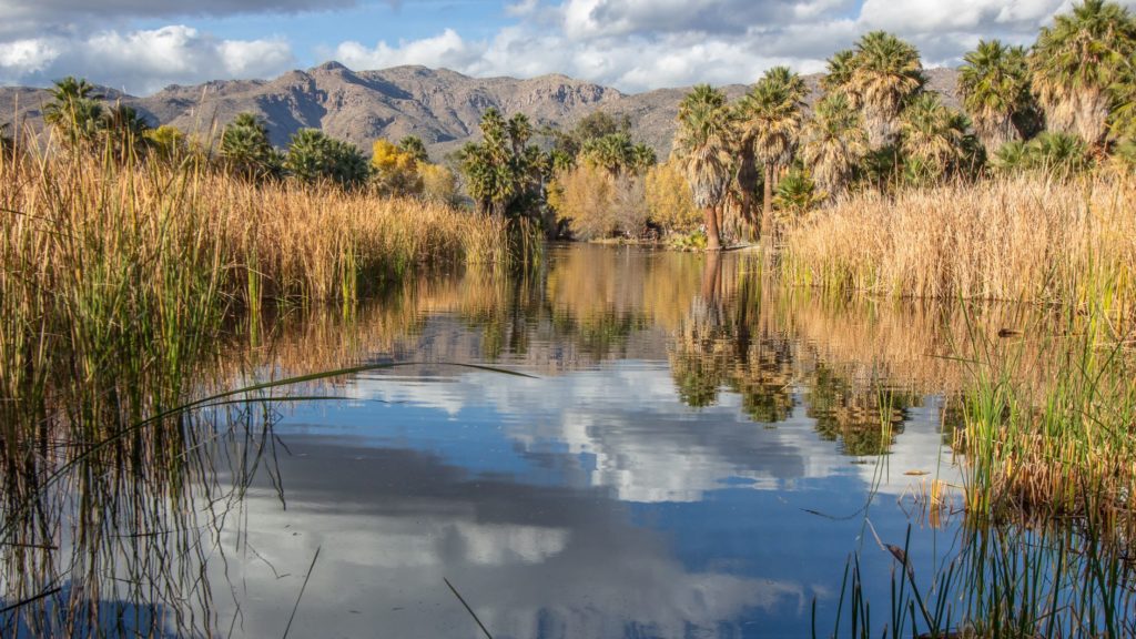 agua caliente park with lake and mountains