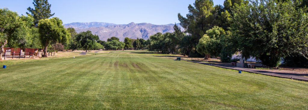 Golf course Greens at Forty Niner Country Club