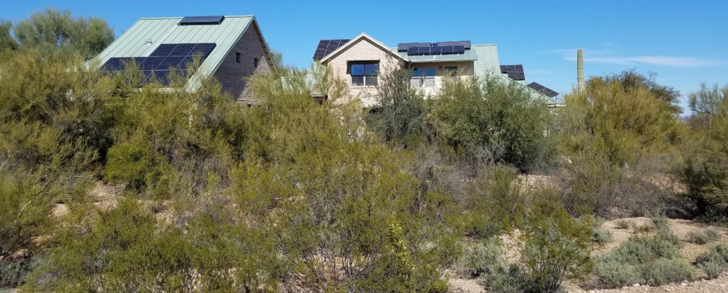 A couple of the homes in the Milagro Cohousing community in Tucson, set within a forest of native creosote shrubs