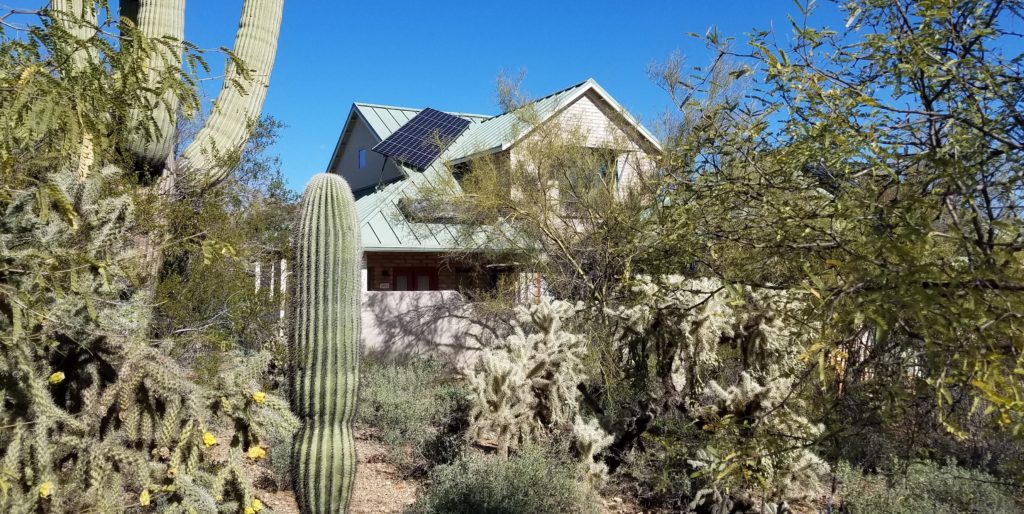 One of the homes in the Milagro neighborhood with native desert cacti and trees