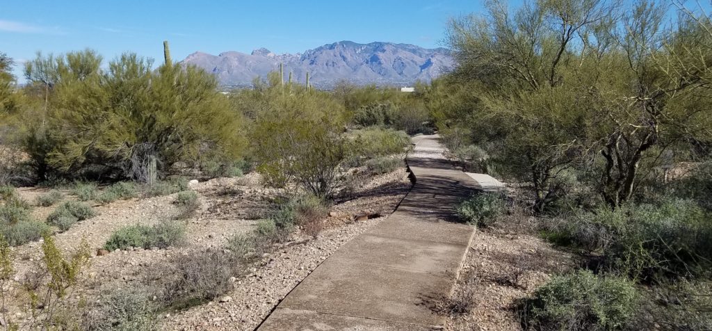 a path going through the Milagro community property