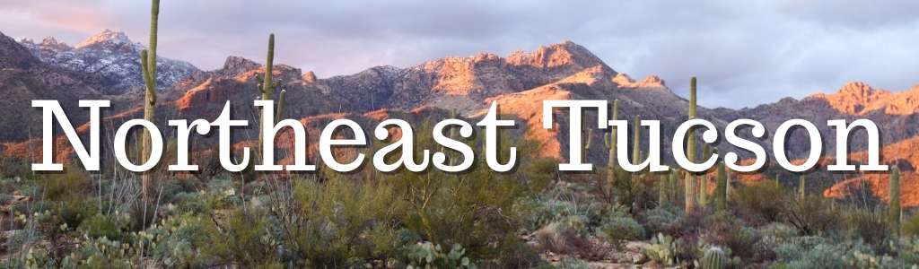 All about Northeast Tucson