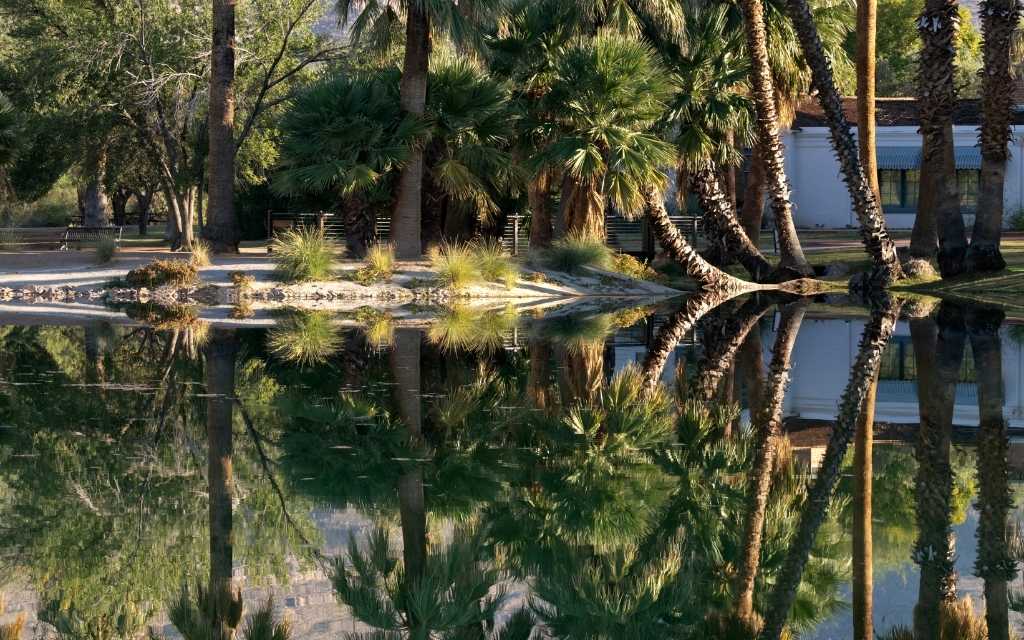 Agua Caliente park is a peaceful spot among the palm trees
