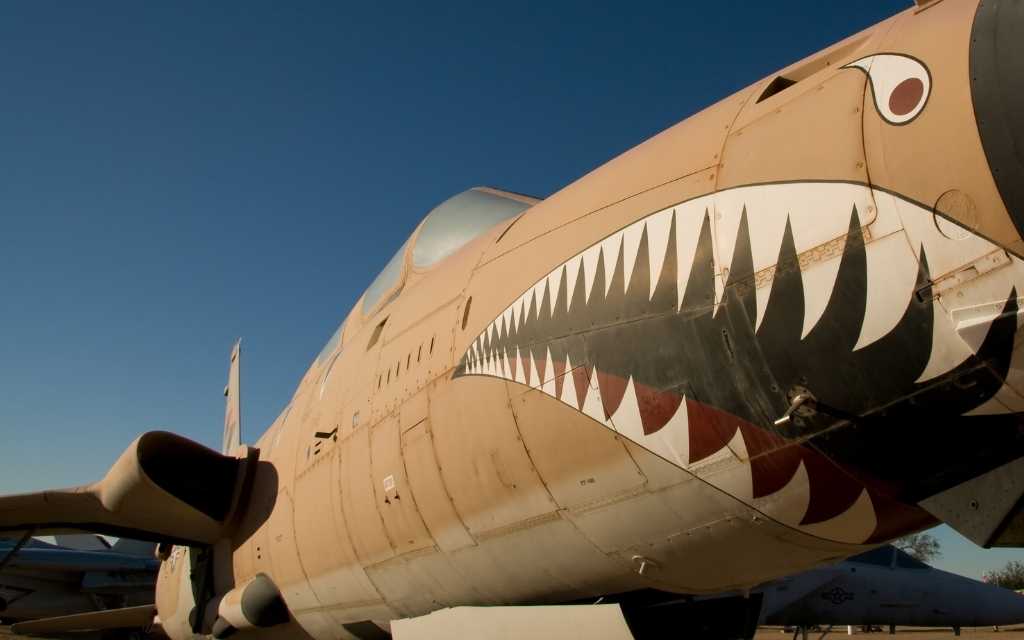 See giant airplanes up close at the Pima Air and Space Museum located in Tucson.