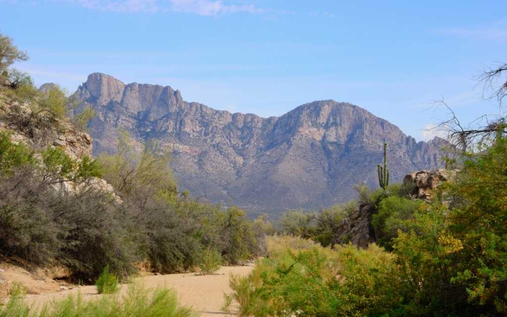 View of Pusch Ridge from Catalina State Park