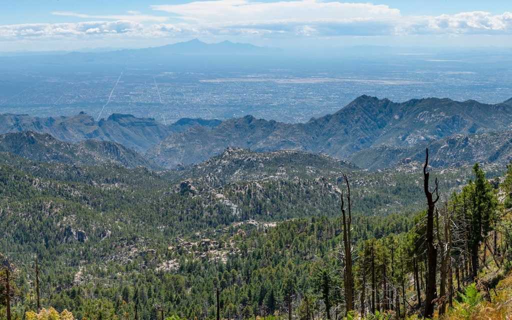 view of Tucson from Mt Lemmon