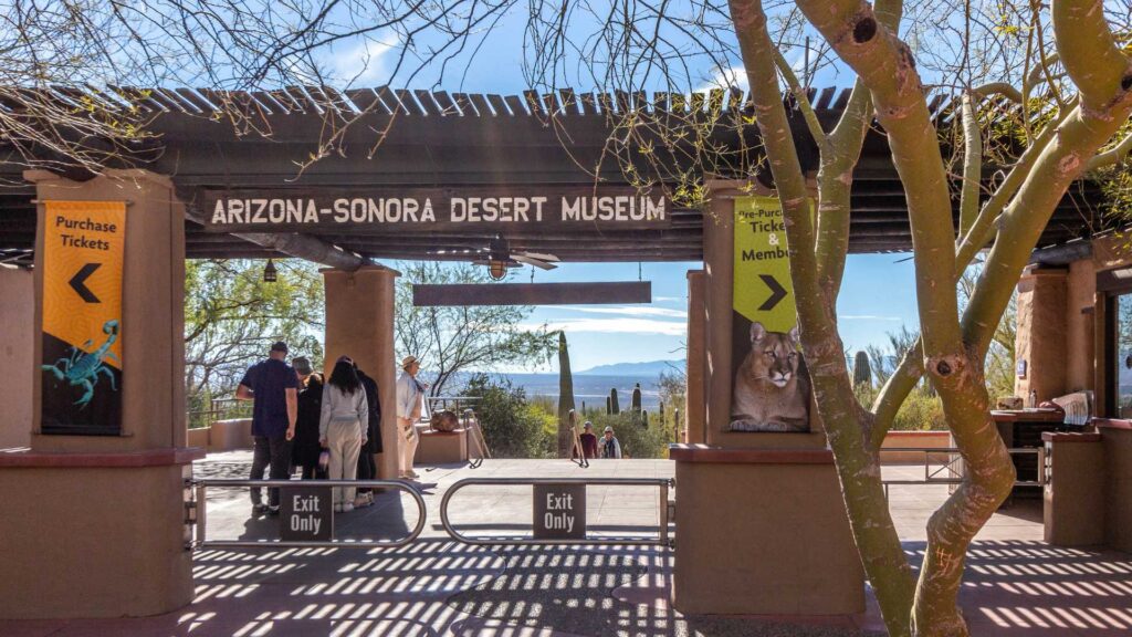 Arizona-Sonora Desert Museum has something for everyone.
