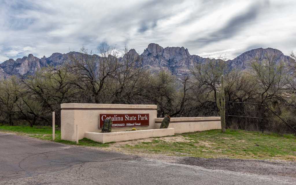 Catalina State Park is just up the road from the neighborhood. It offers tons of hiking trails and more.