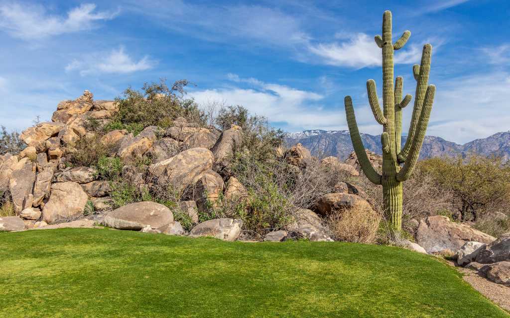 The views are breathtaking while taking in a round of golf at Stone Canyon