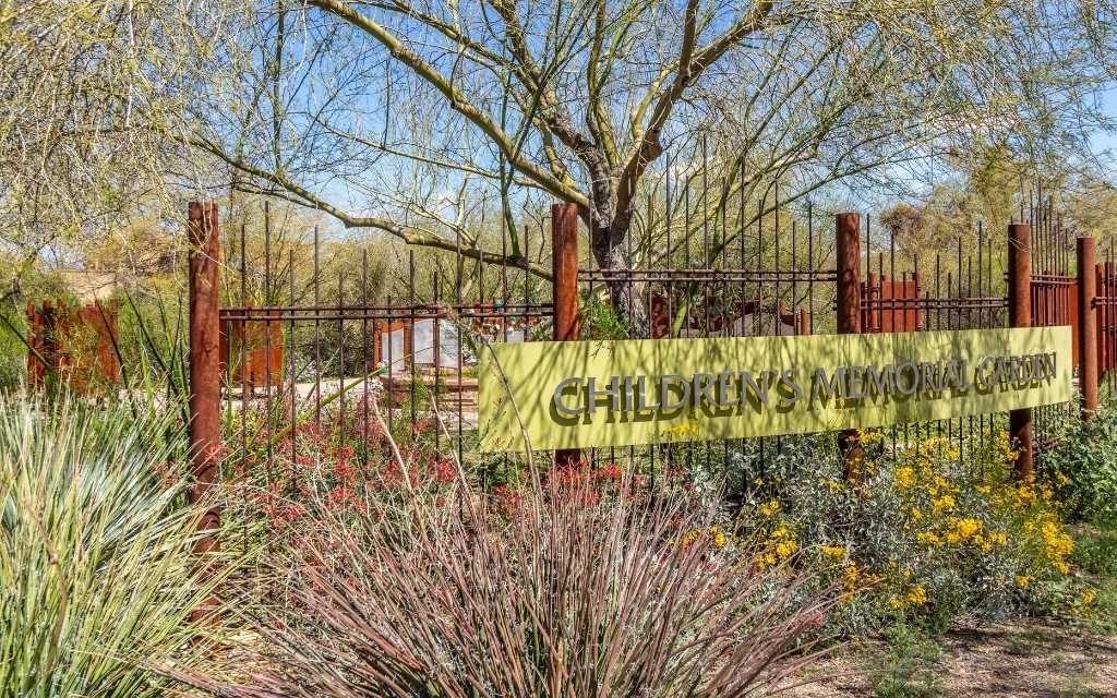 The Children's Garden at Michael Perry Park on the East side of Tucson.